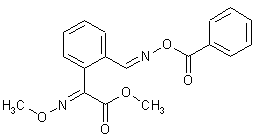 Bildreferenz:C07C0251680000_0